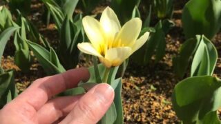 Thumbnail of post image 035