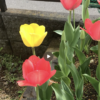 Thumbnail of related posts 197